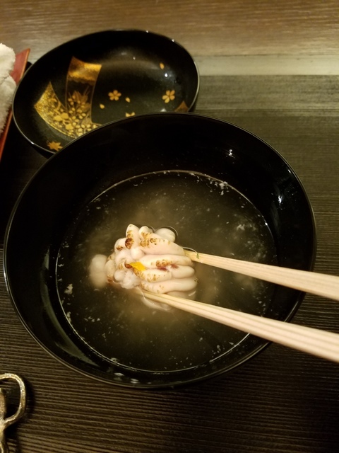 20190207_203902.jpg